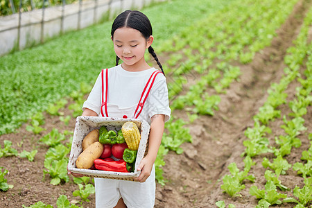 在蔬菜大棚里抱着蔬菜的小女孩高清图片