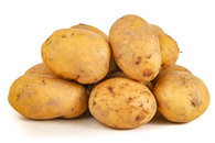  黄皮小土豆白底图图片