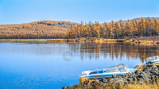 森林湖泊阿尔山杜鹃湖秋景背景