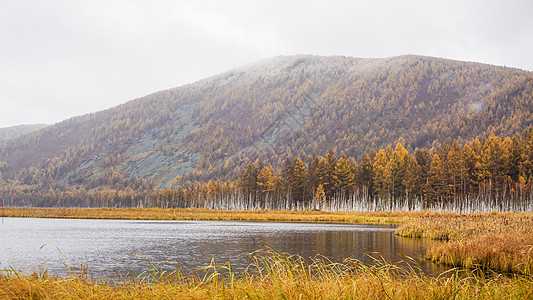 贝尔乌苏浪子湖晨雾秋景背景