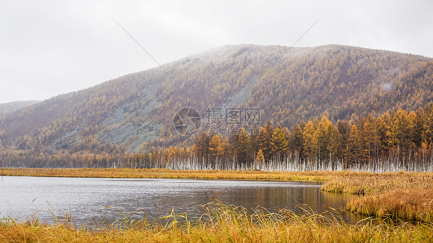 乌苏浪子湖晨雾秋景图片