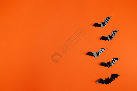 万圣节蝙蝠背景素材背景图片