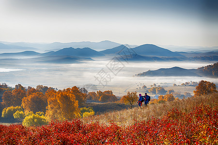 坝上浅秋内蒙古赤峰坝上秋色背景