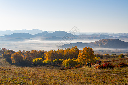 秋天草地内蒙古赤峰坝上秋色背景