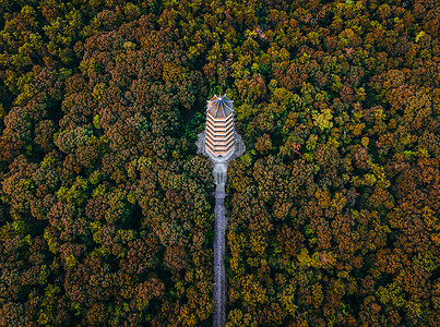 秋天的钟山风景区灵谷寺灵谷塔高清图片