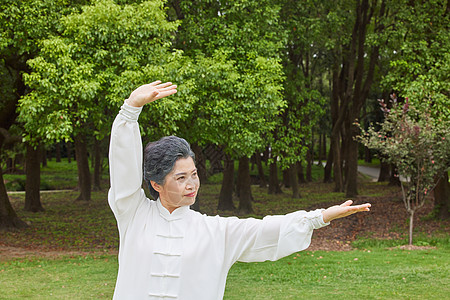 老年人锻炼在公园打太极的老年女性背景