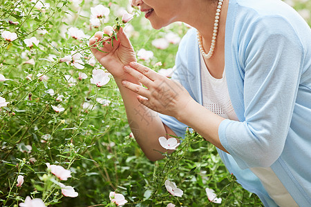 奶奶公园赏花闻花香特写图片