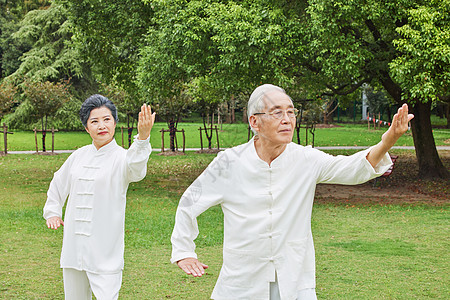 老年夫妻公园打太极高清图片