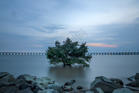 深圳宝安西湾红树林公园背景