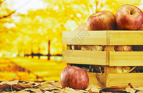 秋天氛围下筐里的苹果图片