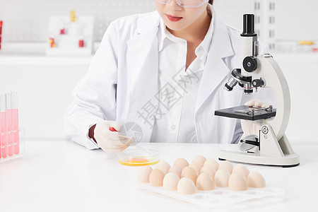 美女营养学家鸡蛋食品检测图片