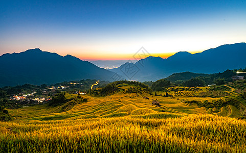 山上晨雾秋天浙江丽水云和梯田日出背景