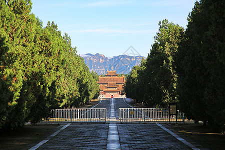 5A景区清西陵泰陵神道图片