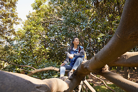 独自森林徒步的女生坐在树上休息图片