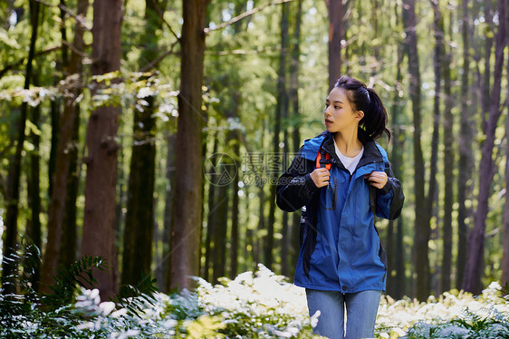 徒步女生欣赏森林景色图片