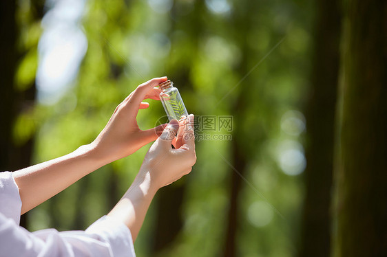 采集植物样本手部特写图片