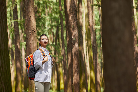 媒体人谈国足选帅：于根伟指导没有递交简历也没有参加竞聘