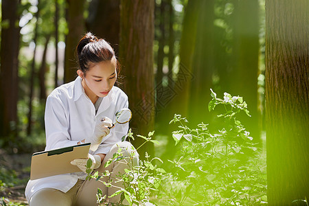 使用放大镜观察并记录植物的科学家高清图片