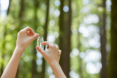 采集植物样本手部特写图片