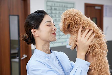 人与动物宠物医院护士与狗狗背景