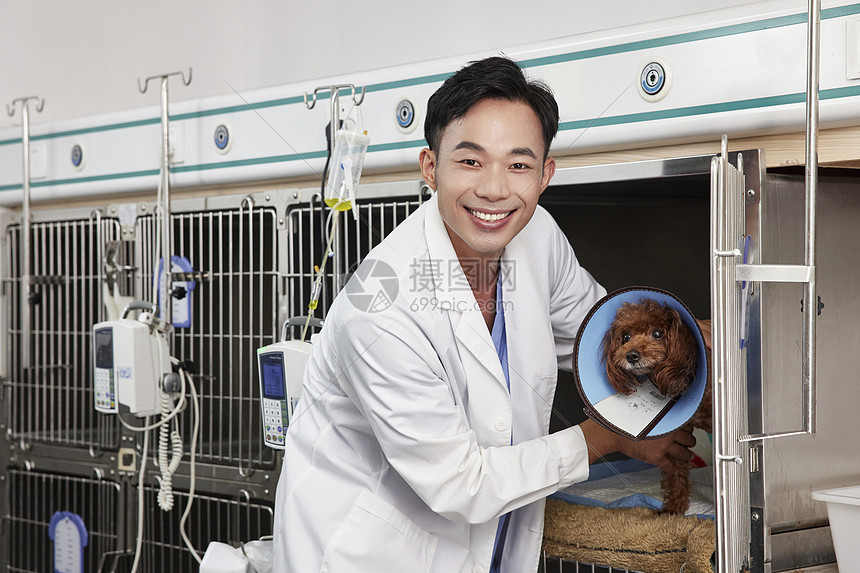 宠物医生为住院的宠物检查身体状况图片