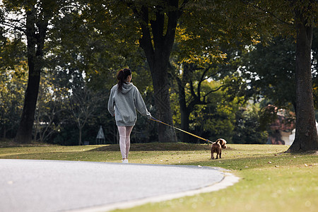 在公园牵着狗散步的美女图片