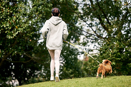 狗和人在公园里和泰迪一起跑步的运动少女背景