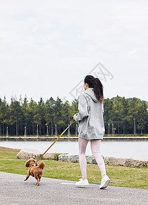 秋天湖边在湖畔牵着狗跑步的美女背景