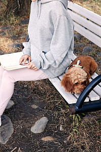 坐在公园长椅上的阅读少女和萌宠泰迪图片