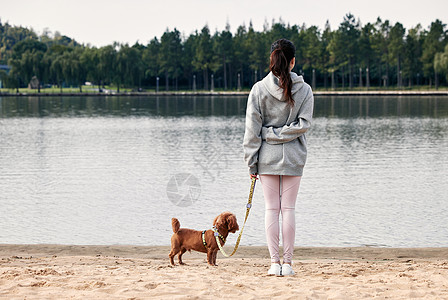 少女背影站在湖边的运动少女和萌宠泰迪背景