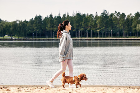 美女在户外跑步带着萌宠泰迪在湖边散步的运动少女背景