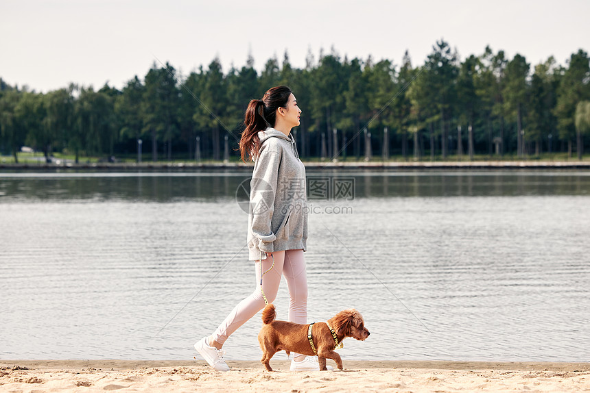 带着萌宠泰迪在湖边散步的运动少女图片