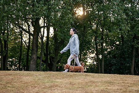 跑步锻炼在公园里和泰迪一起散步的运动少女背景