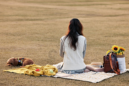 坐在草地上看书的清新美女和狗狗背影图片