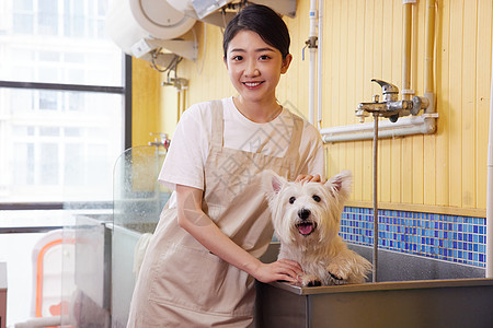 宠物店女性技师给宠物狗狗洗澡图片