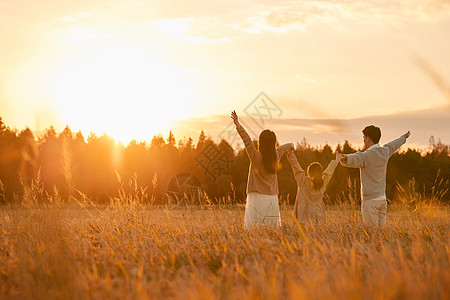 夕阳下走在稻田里的一家人背影背景图片