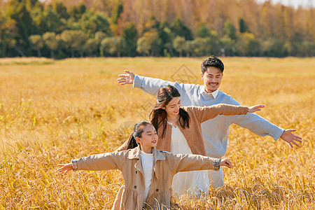 水稻成熟秋天郊游的幸福家庭背景
