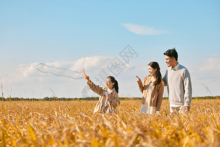 陪伴父母在稻田里散步玩耍的一家人背景