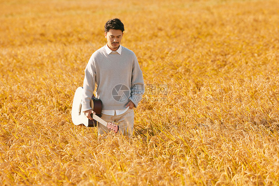 男性拿着吉他走在稻田里图片