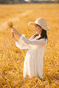 秋天收获穿着连衣裙走在稻田里的女性背景