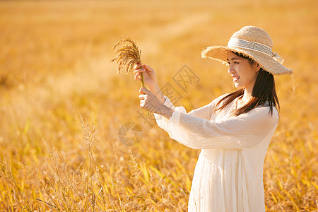 穿着连衣裙走在稻田里的女性图片