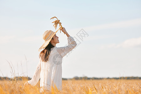 秋天收获穿着连衣裙走在稻田里的少女背景