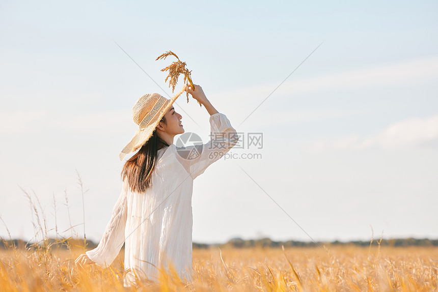 穿着连衣裙走在稻田里的少女图片