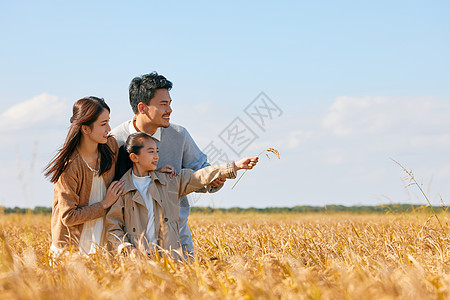 爸爸和女儿亲子户外秋游形象背景