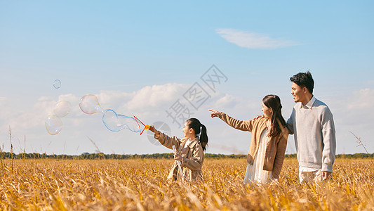 爸爸和女儿玩耍一家人户外稻田郊游玩耍背景