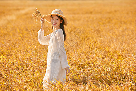 女性穿着连衣裙走在稻田里图片