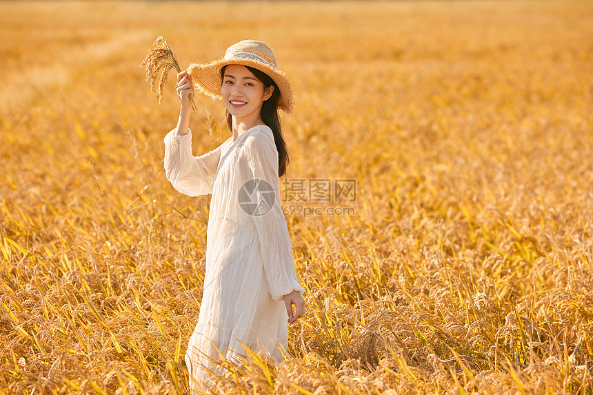 女性穿着连衣裙走在稻田里图片