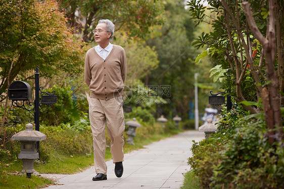 老年人公园散步欣赏花草图片