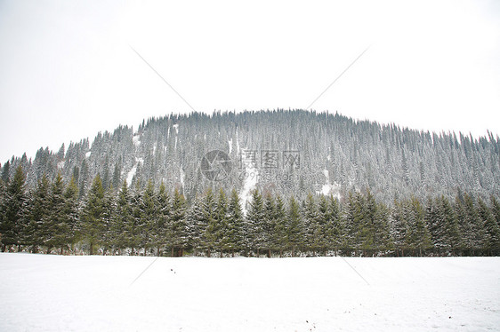 新疆伊宁5A景区那拉提草原雪景图片