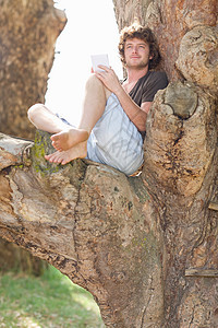 男人坐在树上背景图片